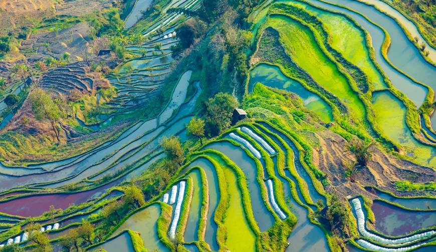 宝妈必备神器：垫江产品视频拍摄轻松育儿好帮手