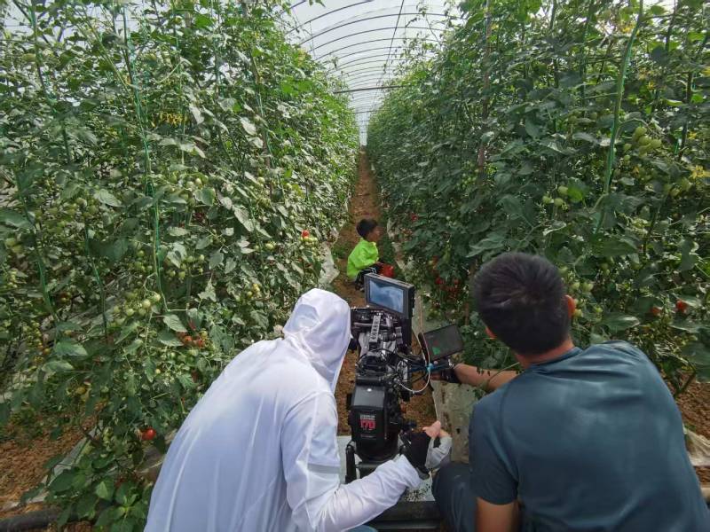 垫江产品宣传视频拍摄公司进阶指南，助力品牌抢占传播高地